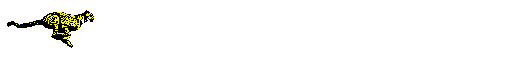 animation