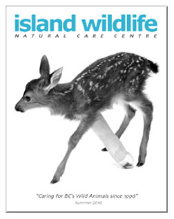 2010 Newletter Cover Photo