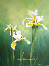 "Mellow Yellow" © - Original art by Lee (Lowther) Kergin