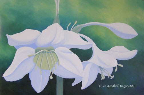 "Soft and White #2" © - Original art by Lee (Lowther) Kergin