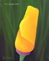 "California Poppy" © - Original art by Lee (Lowther) Kergin