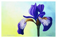 "Going Solo" © - Original art by Lee (Lowther) Kergin