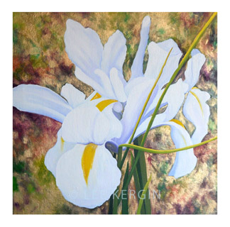 "Iris No. 1" © - Original art by Lee (Lowther) Kergin