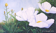 "Matilija" © - Original art by Lee (Lowther) Kergin