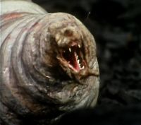 [A giant maggot.]