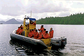 whale watching zodiac