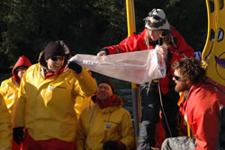 Whale researchers