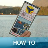 How To