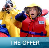 The Offer