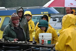 Oysters Afloat