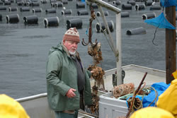 Oysters Afloat