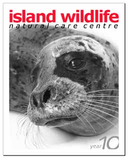 2006 Newletter Cover Photo