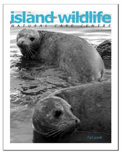 2008 Newletter Cover Photo