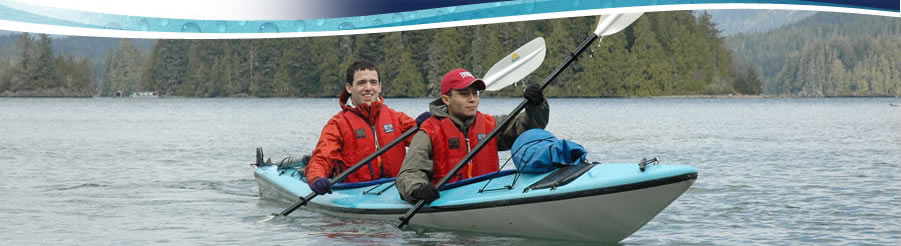 Tofino whale watching